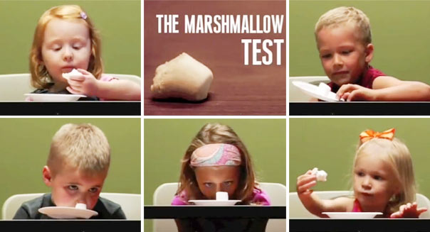 The Marshmallow Test’s predictive value.
